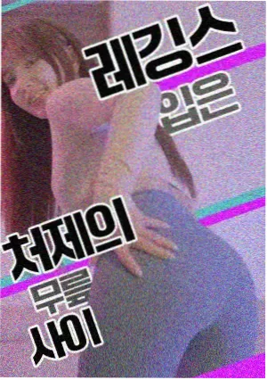 乡村剧集老张的果园封面